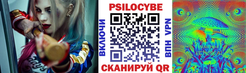 Купить где  Неман  Галлюциногенные грибы Psilocybine cubensis 